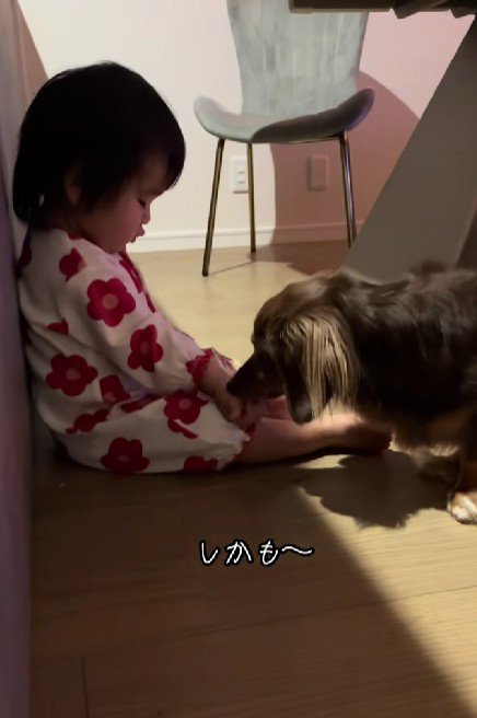 「ハイ、どうぞ」