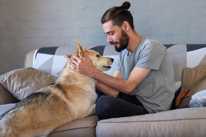 ソファーの男性に寄り添う犬