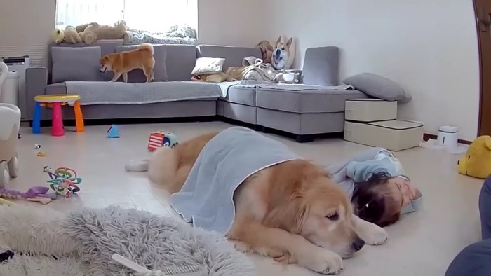 ゴロンと転がって…