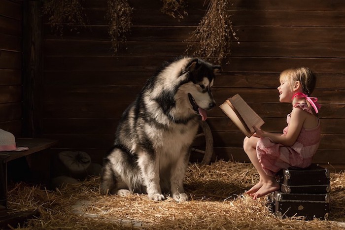 小屋で大きな犬に本を読み聞かせている女の子