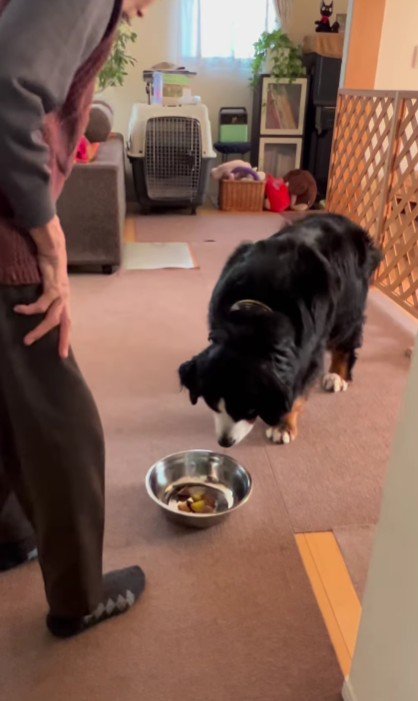 おばあちゃんの愛が伝わる…