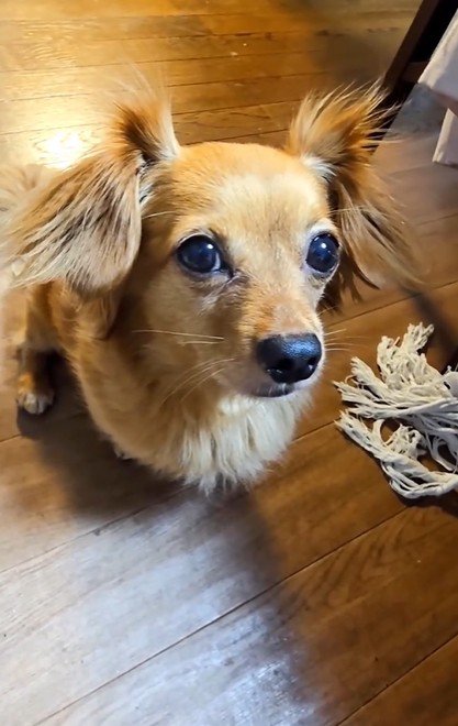 お兄ちゃんの大吉くん