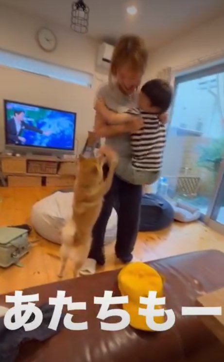 立つ犬