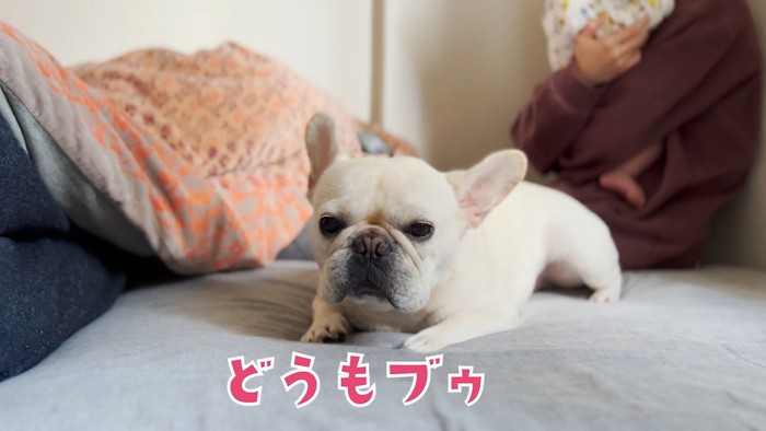 坊くん