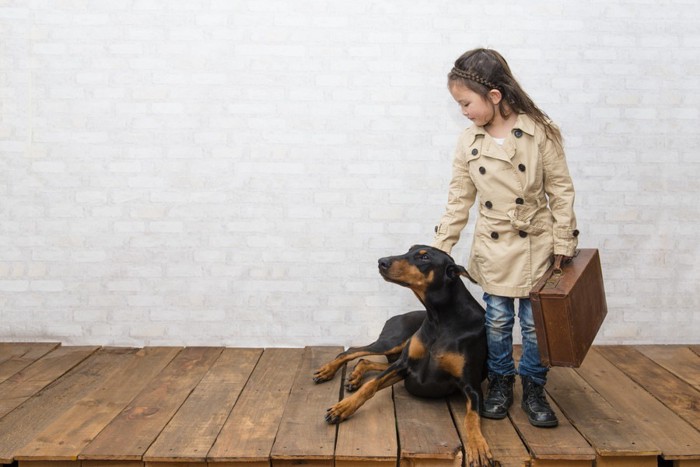 スーツケースを持った女の子と犬