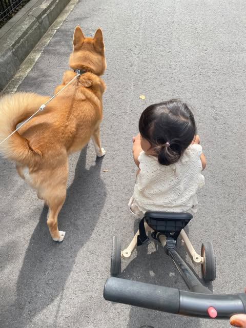 キュウリちょうだい？