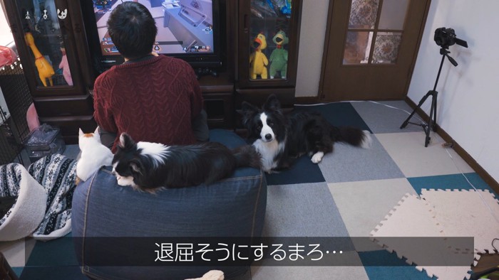 パパさんはゲームに夢中
