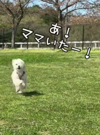 「ママ、いた～！！」