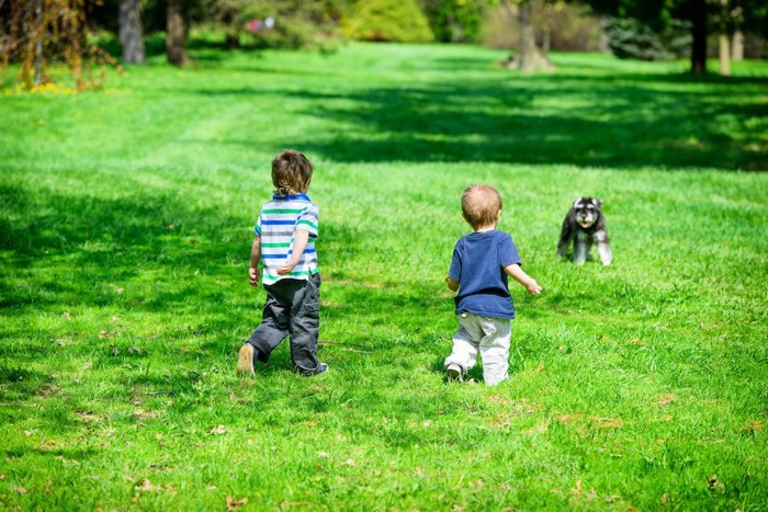 屋外で犬に近づく男の子たち