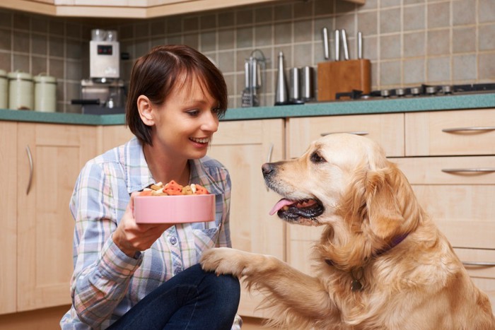 ご飯待ちの犬