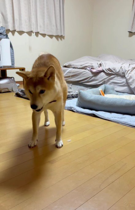 縦向きに伸びてる！！