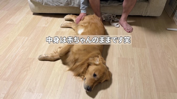 3歳でも赤ちゃん気分!?