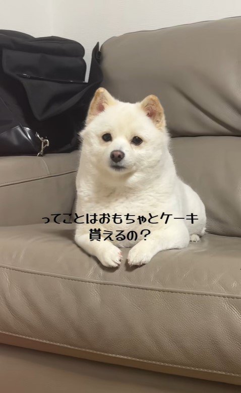 べらちゃんのバースデーソングへの反応5