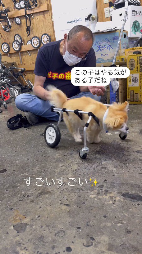 車椅子に乗って歩く犬を見て感動する女性