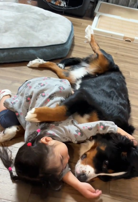 寄り添うベルちゃん