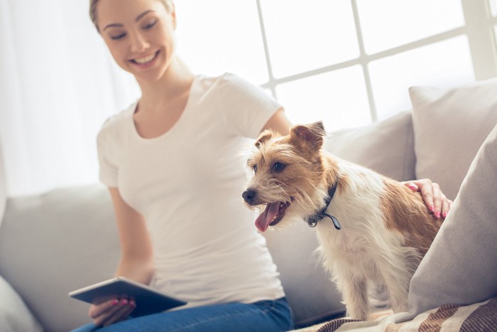 隣に座る犬を撫でる女性