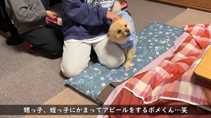 子どもたちに「構って」とアピール