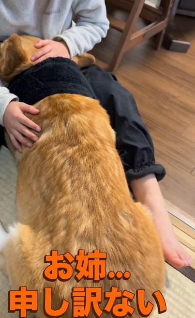 ジッさん、大反省