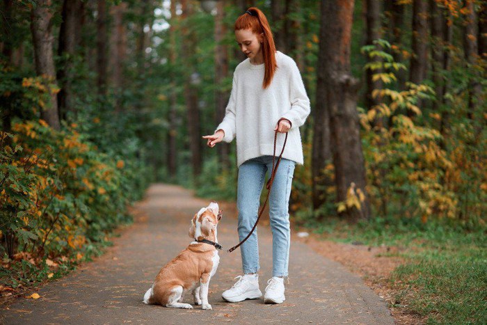 散歩中の女性と犬