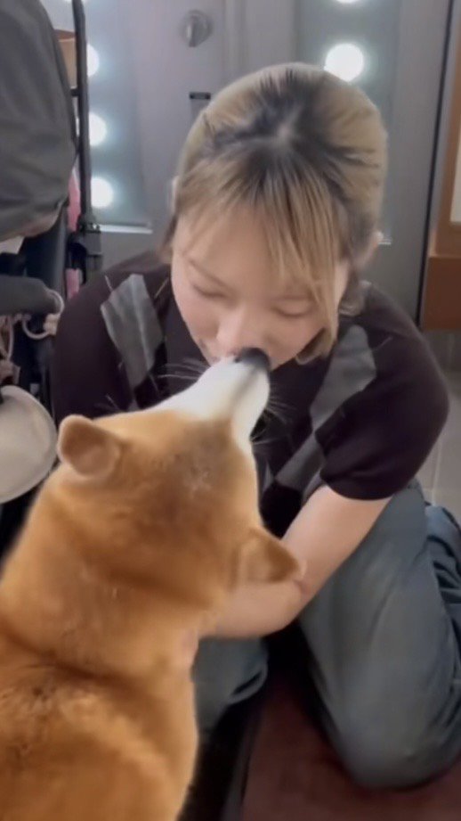 お姉ちゃんを出迎える柴犬