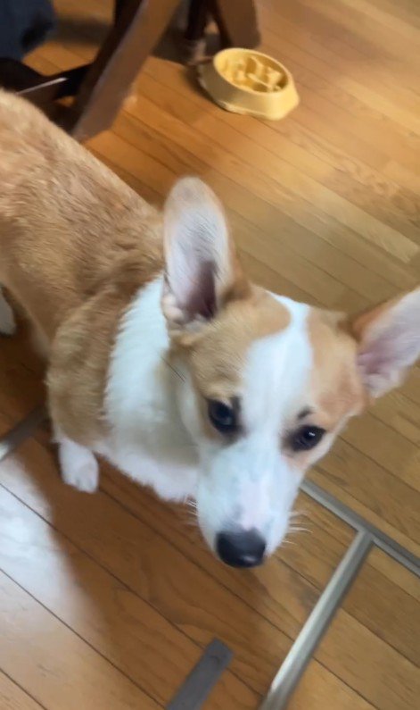 赤ちゃんを見守るまる君6