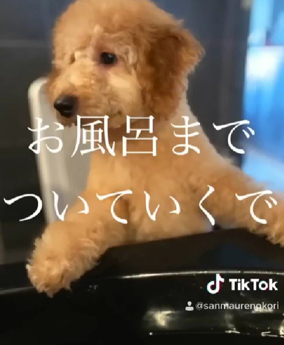 洗ったら素敵な姿に♡