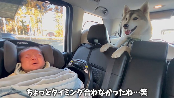 起きだした赤ちゃん