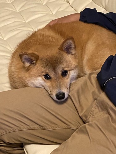 成長