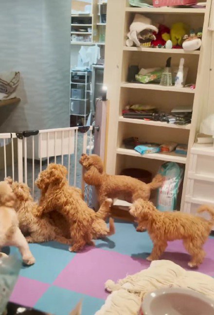 様子を覗いてみたら…