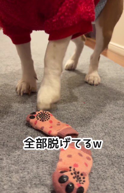 やっぱり素足が一番!?