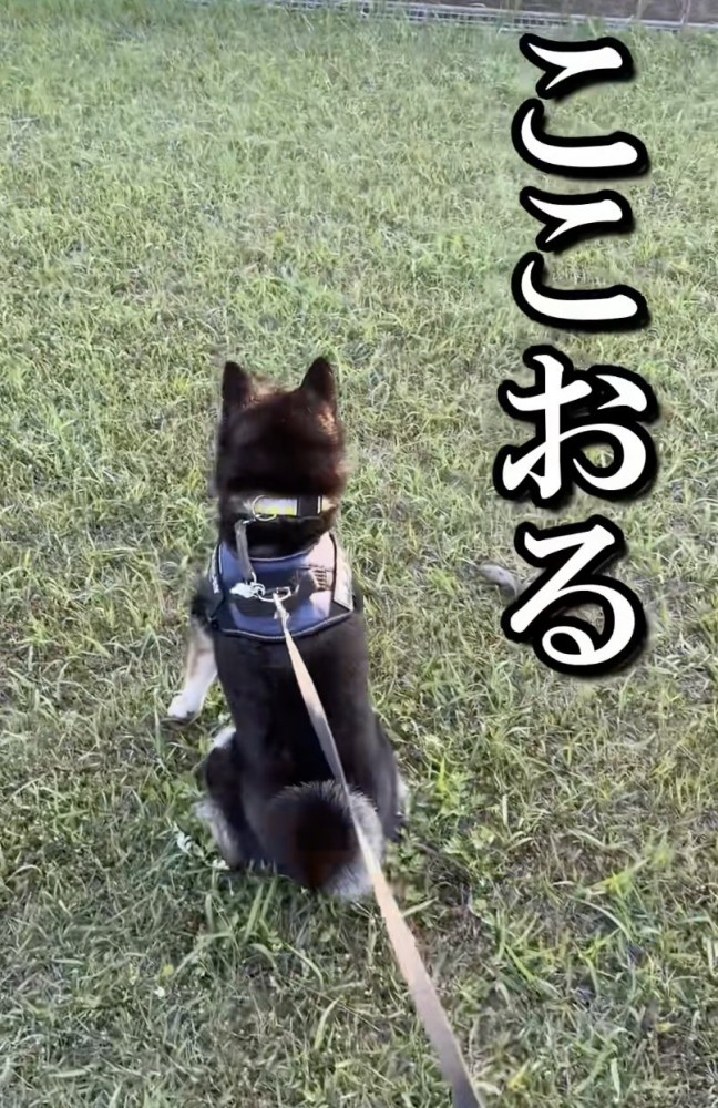 あいつが出てくるまでは