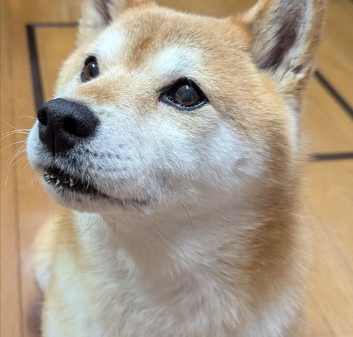 表情豊かな