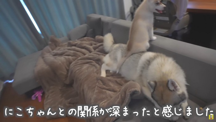 仲良しな兄妹！