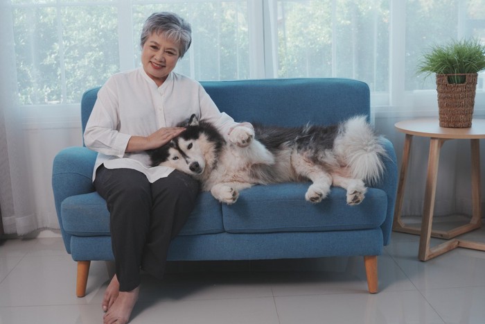 ソファの上の女性と犬