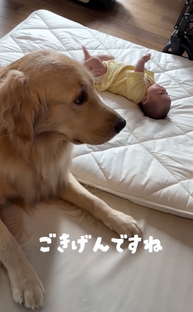 サニーくん、ひと安心。