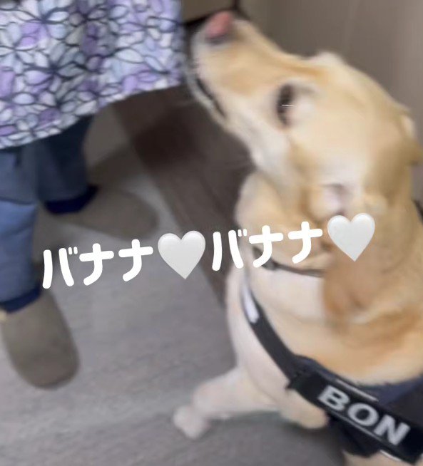 お礼の品は？？