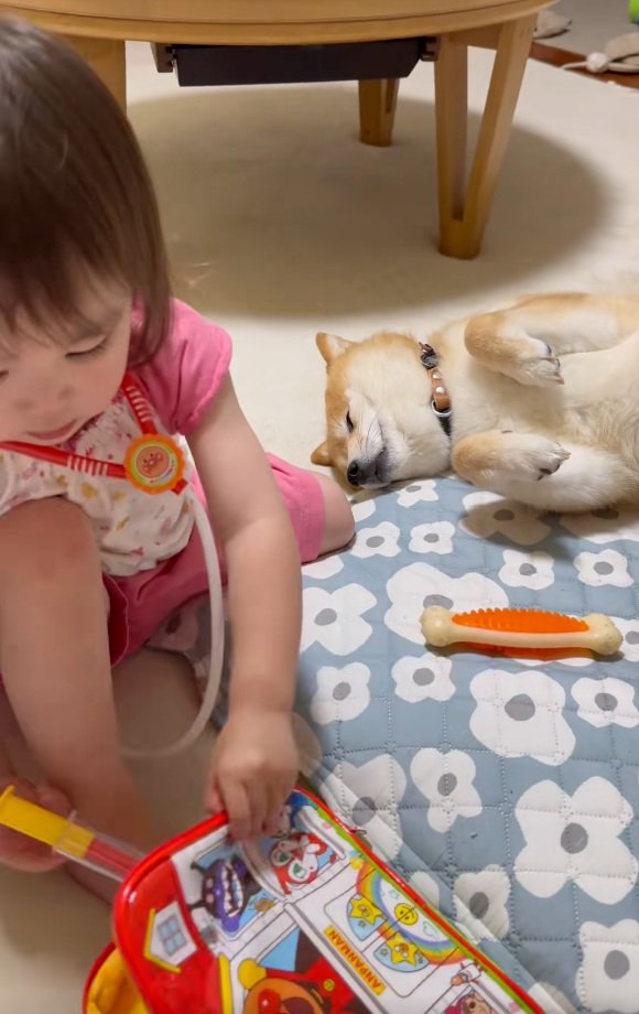 なすがままのすずちゃん