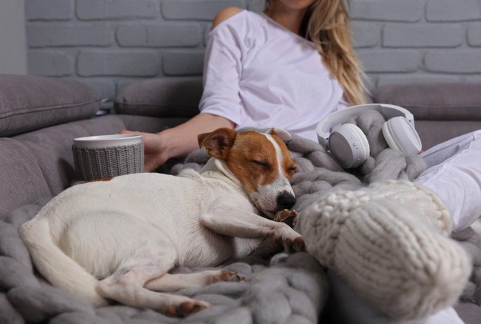 ヘッドホンを持つ飼い主と眠る犬