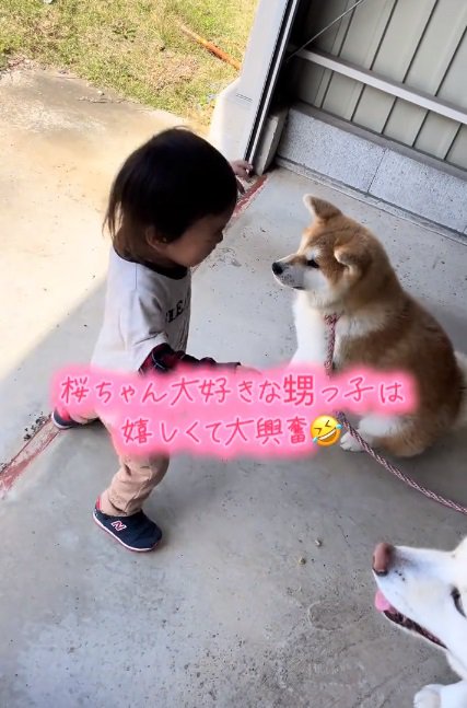歩く男の子