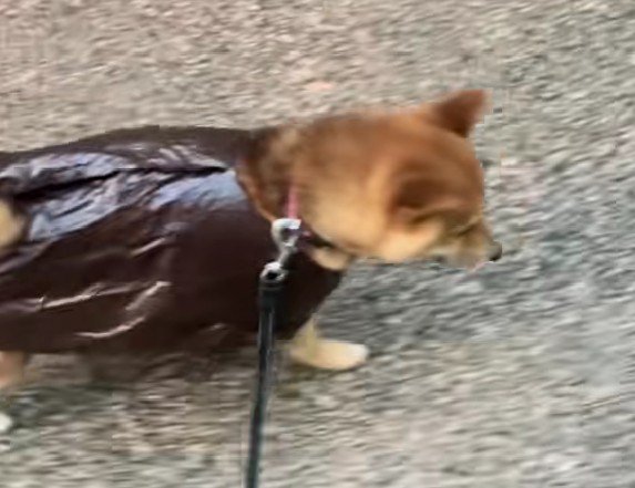 ちょっぴり不満…？
