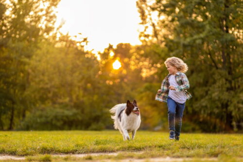 夕暮れのなか走る子どもと犬