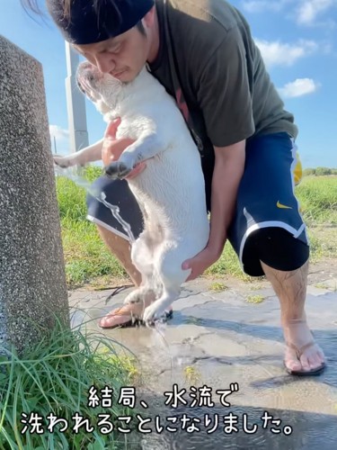 水流で直接洗われるドンちゃん