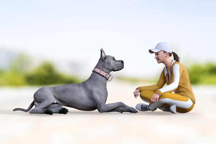 犬との対話