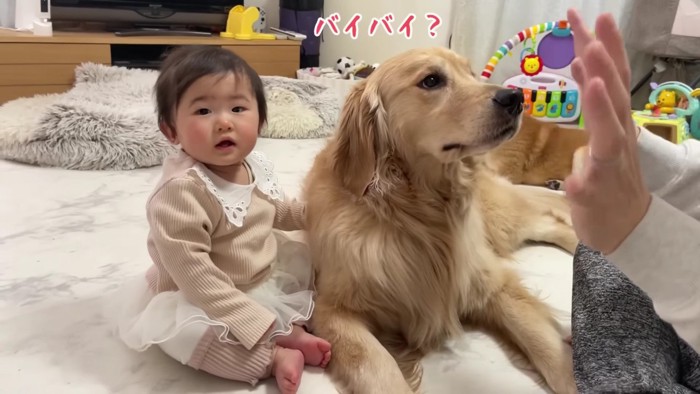 「え！？バイバイ！？」