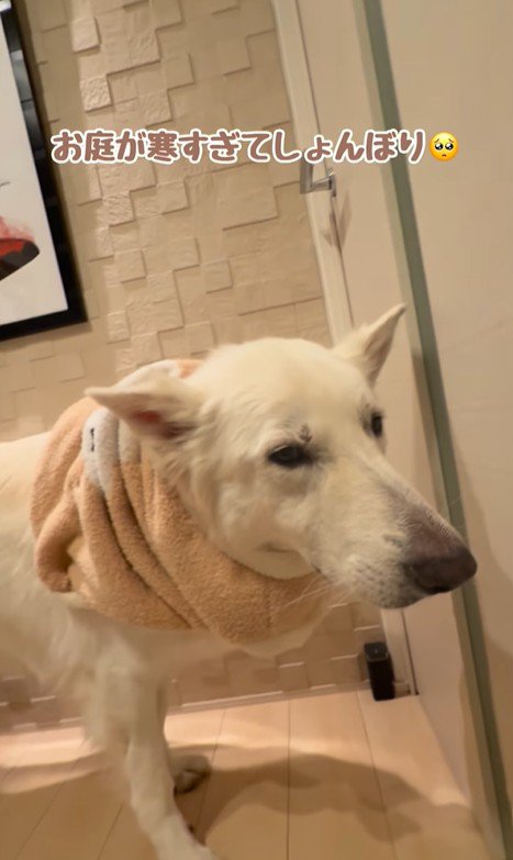 れお君の表情の変化2