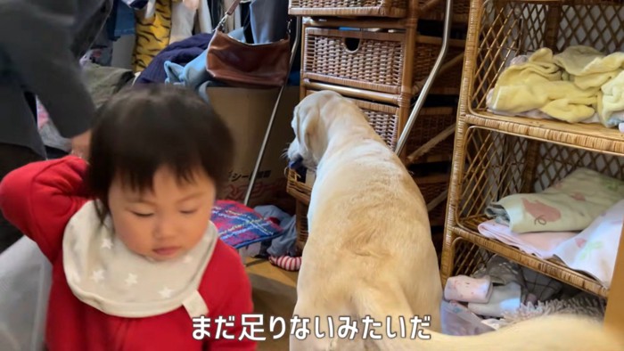 洗濯物泥棒が2人に！