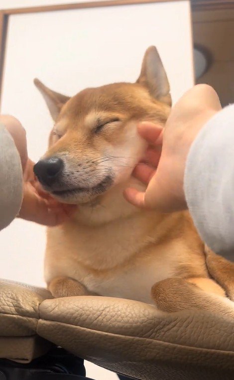 ふれあい中の福ちゃん2