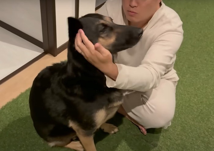 犬の耳をふさごうとする人