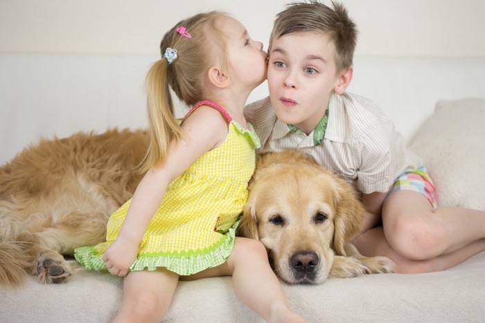 キスする子どもとゴールデン