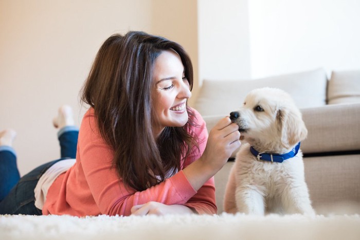 寝転んで遊ぶ子犬と女性